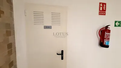 Apartment in Los Arenales del Sol photo 45