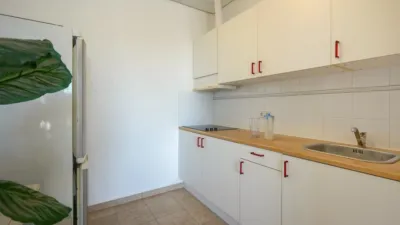 House in Canuta photo 32