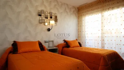 Chalet in Los Montesinos photo 34