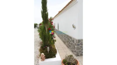 House in Oria photo 24