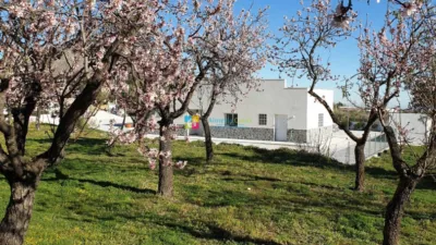 House in Oria photo 3