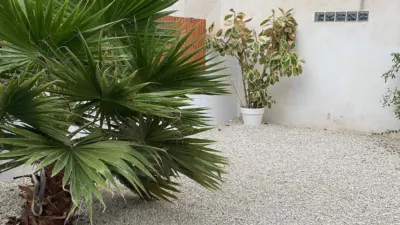 Apartment in Cala Manzanera photo 15