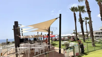 Pis – Elx - Elche - Vista 3