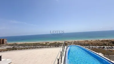 Apartment in Los Arenales del Sol photo 39