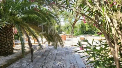 House in Puente Genil photo 15