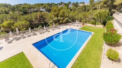 Penthouse in Cas Català-Illetes photo 48