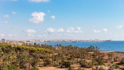 Pis – Orihuela, Urbanización Horizonte - Vista 2