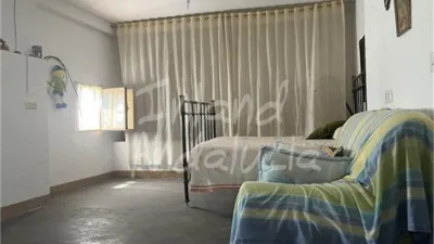 Rustic Finca in Alcaudete photo 9