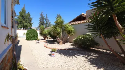 Chalet in Formentera del Segura photo 30
