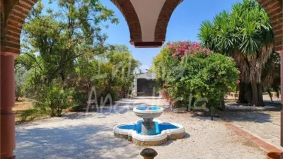 House in Puente Genil photo 12