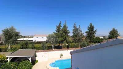 Chalet in Formentera del Segura photo 5
