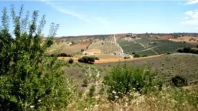 Rustic finca in Alhama de Granada photo 10