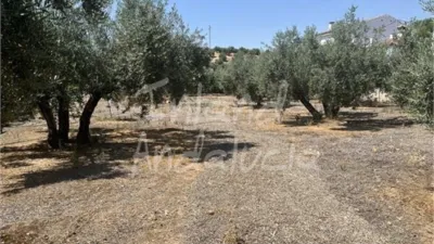 Rustic Finca in Alcaudete photo 12