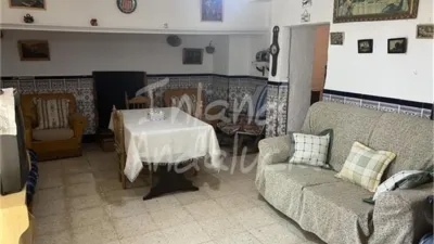 Rustic Finca in Alcaudete photo 10