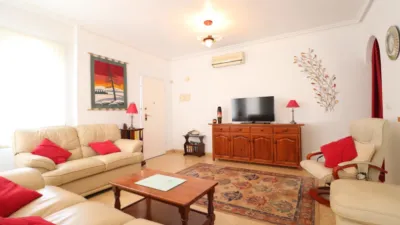 Chalet in Algorfa photo 8