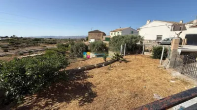 House in Albox photo 32
