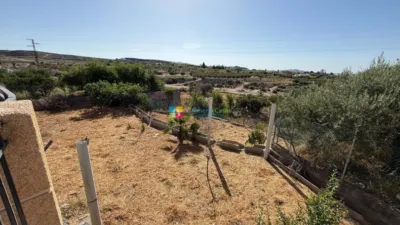 House in Albox photo 27