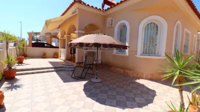 Chalet in Algorfa photo 21