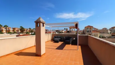 Chalet in Algorfa photo 23