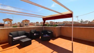 Chalet in Algorfa photo 22