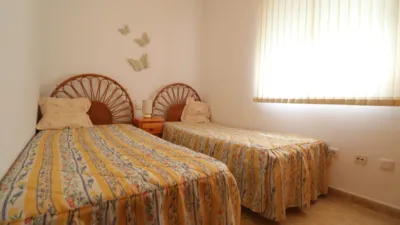 Chalet in Algorfa photo 14
