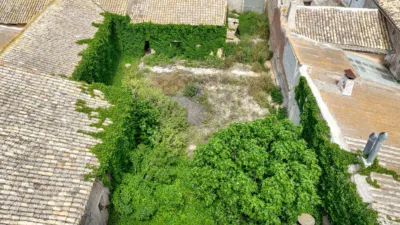Rustic Finca in El Pinós - Pinoso photo 39