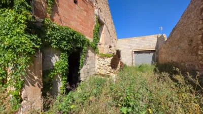 Rustic Finca in El Pinós - Pinoso photo 44
