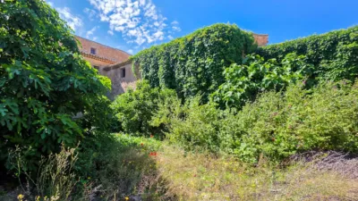 Rustic Finca in El Pinós - Pinoso photo 42