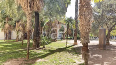 Apartment in La Seu photo 36