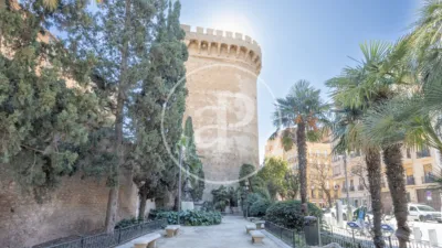 Apartment in La Seu photo 41