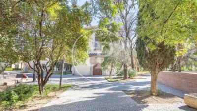 Apartment in La Seu photo 34