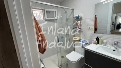 Apartment in Alcaudete photo 6