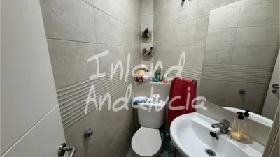 Apartment in Alcaudete photo 7