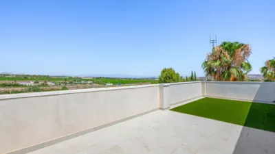 Rustic Finca in Los Montesinos photo 41