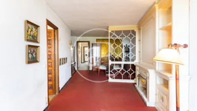 Apartment in Palma de Mallorca photo 12