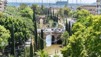 Apartment in Palma de Mallorca photo 36