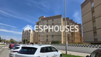 Pis – Guardamar del Segura, Urbanització Pinar de Guardamar - Vista 2