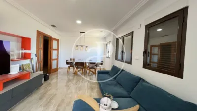 Pis – Elx - Elche - Vista 4