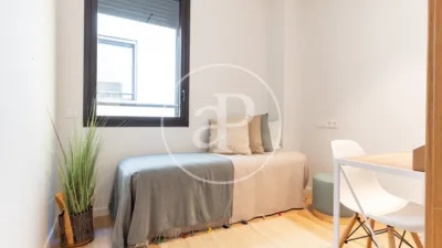 Apartment in Centre photo 20