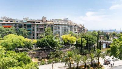 Apartment in Palma de Mallorca photo 35