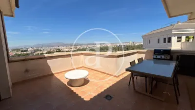Pis – Elx - Elche - Vista 2