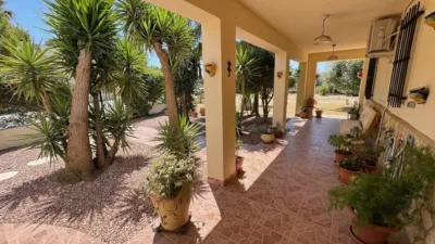 Villa in Cantoria photo 28