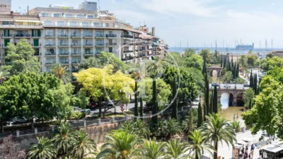 Apartment in Palma de Mallorca photo 3