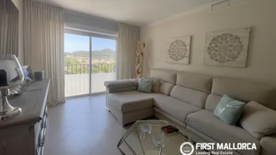 Penthouse in Andratx photo 7