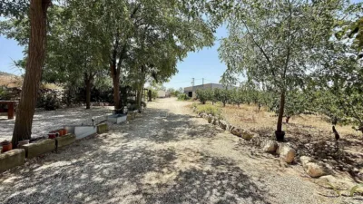 Casa – Villena, l'Alt Vinalopó / El Alto Vinalopó - Más