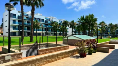 Apartment in Guardamar del Segura photo 46
