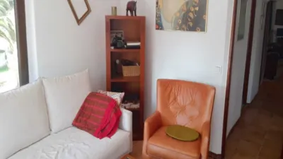 Rustic finca in Casares photo 6