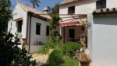 Rustic finca in Casares photo 24