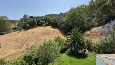 Rustic finca in Casares photo 20
