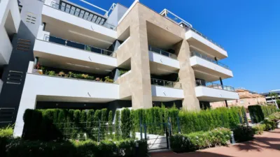 Apartment in Playa Flamenca-Las Piscinas photo 5